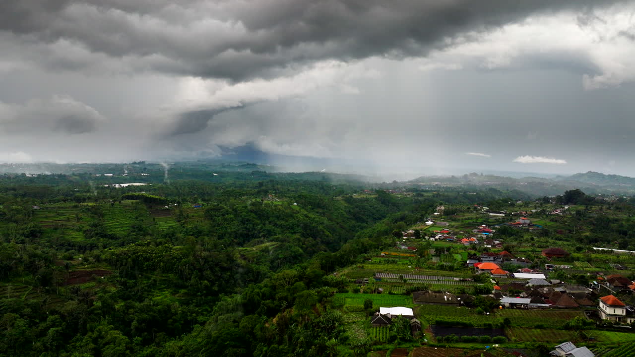 거의 식물로 여있는 유령 궁전 호텔의 폐허, 공중