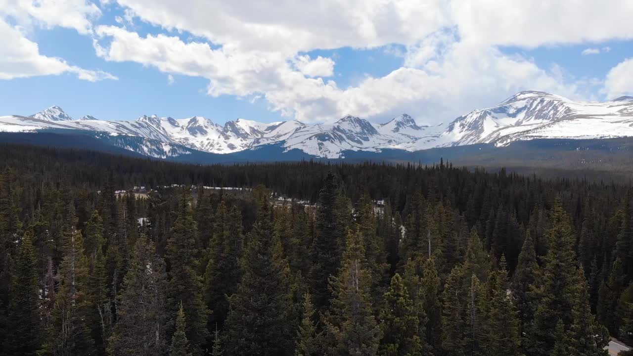 toma de revelación aérea desde un bosque de pinos nevados hasta el monte elbert durante el invierno