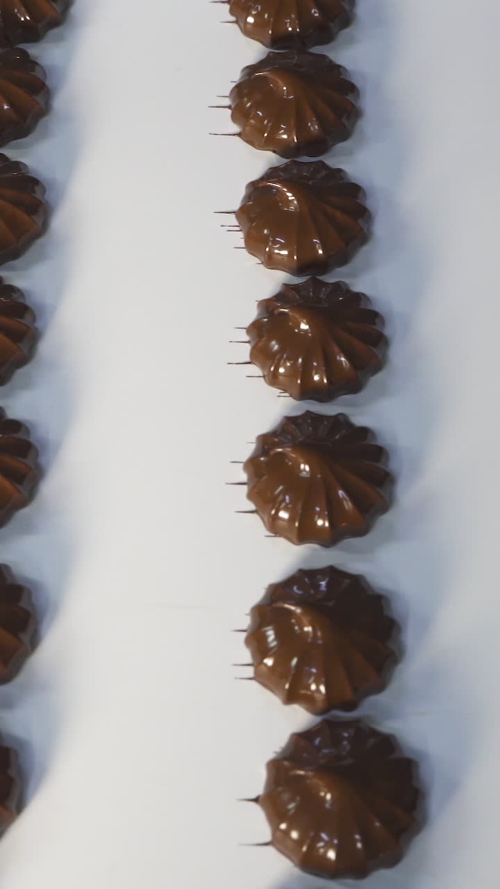 Fresh marshmallow covered with dark chocolate. The movement of the conveyor belt with finished products. Production of sweets at a food factory. Vertical video
