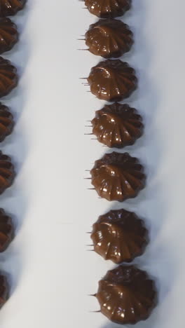 fresh marshmallow covered with dark chocolate. the movement of the conveyor belt with finished products. production of sweets at a food factory. vertical video