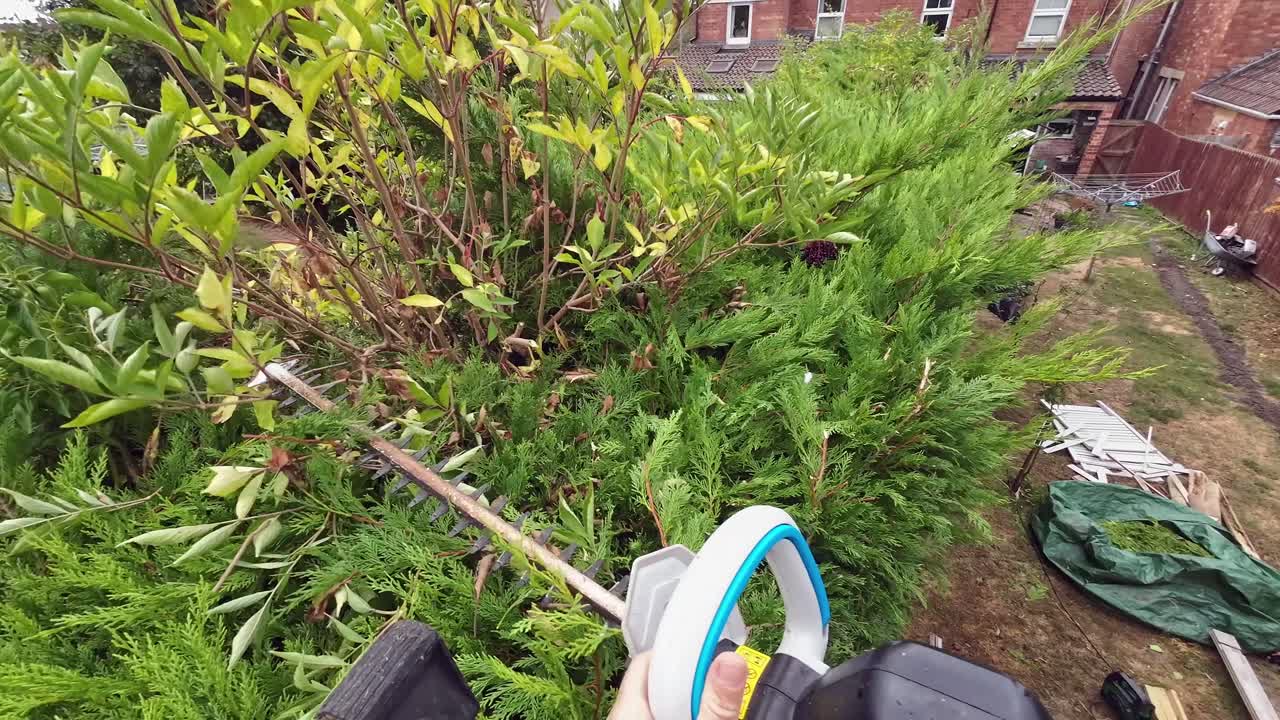 POV Hedge Cutting in Suburban Garden with Electric Trimmer on Overcast Day, trimming top