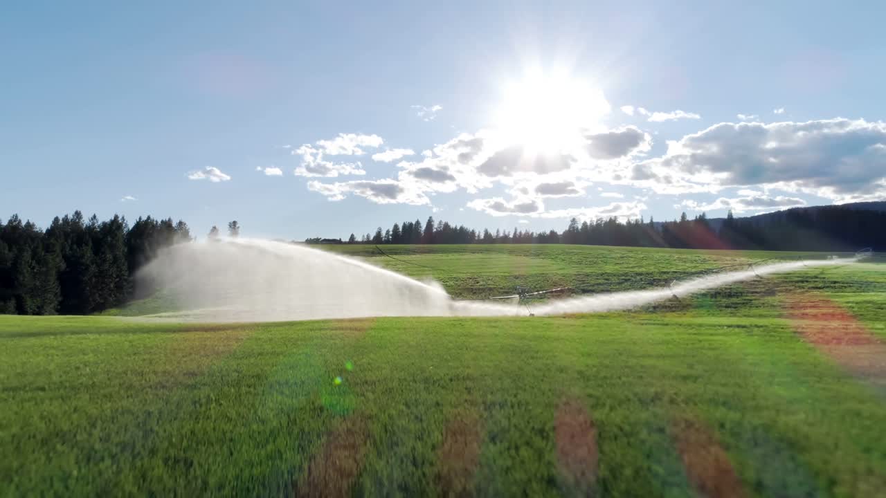 riego de los cultivos verdes 4k