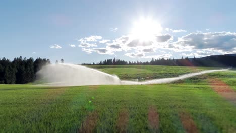 irrigation of green crops 4k