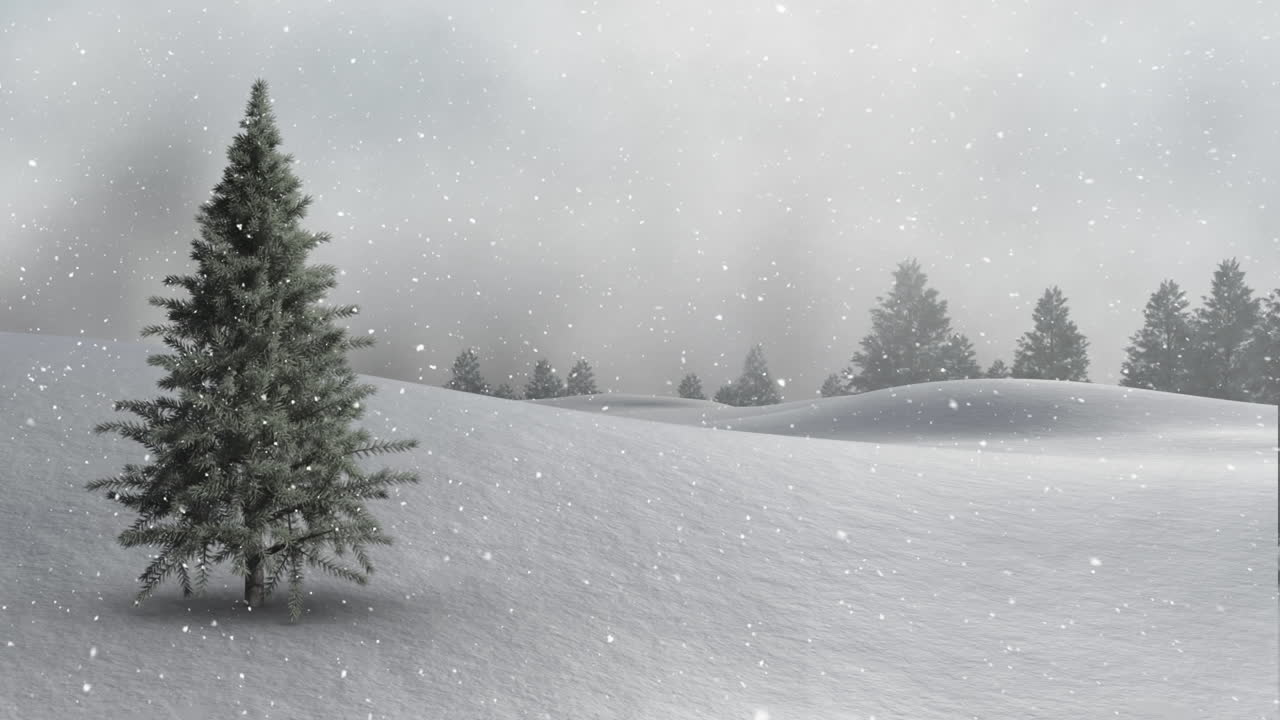 Snow falling and fir trees