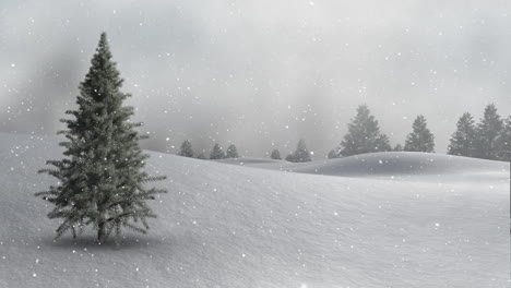 nieve cayendo y abetos