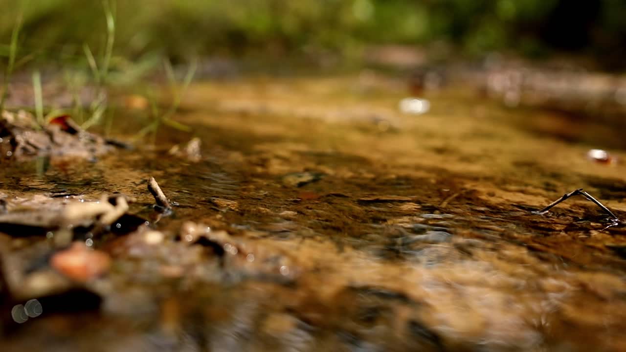 Macro view of water flowing in a gentile stream or brook in the countryside
