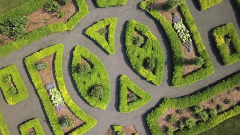 aterrizaje rápido de drones en el centro directo del parque verde simétrico en verano