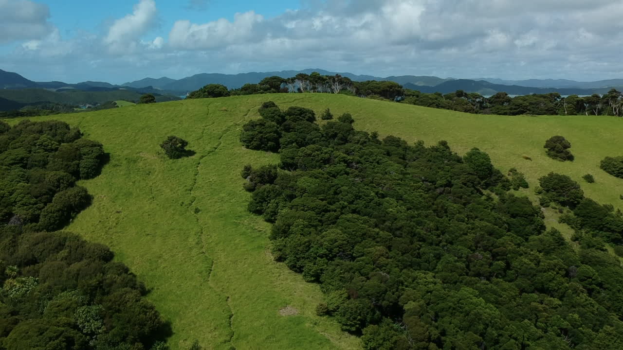 vista aérea de exuberantes colinas verdes cubiertas de árboles y el océano azul en el fondo, bahía de islas, nueva zelanda