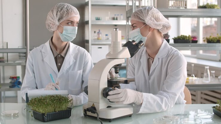 Scientists in a Lab Observing Microgreens Under a Microscope