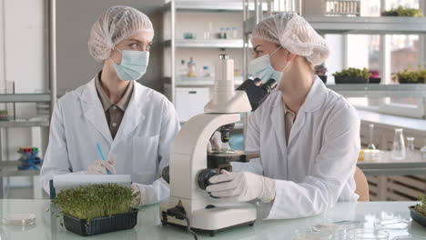 científicos en un laboratorio observando microgreens bajo un microscopio