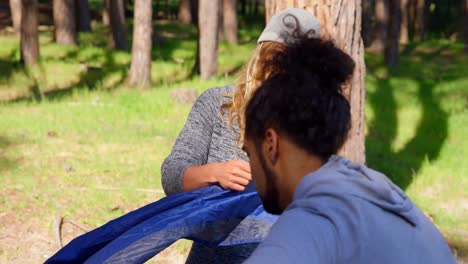 friends setting up tent in the forest on a sunny day 4k