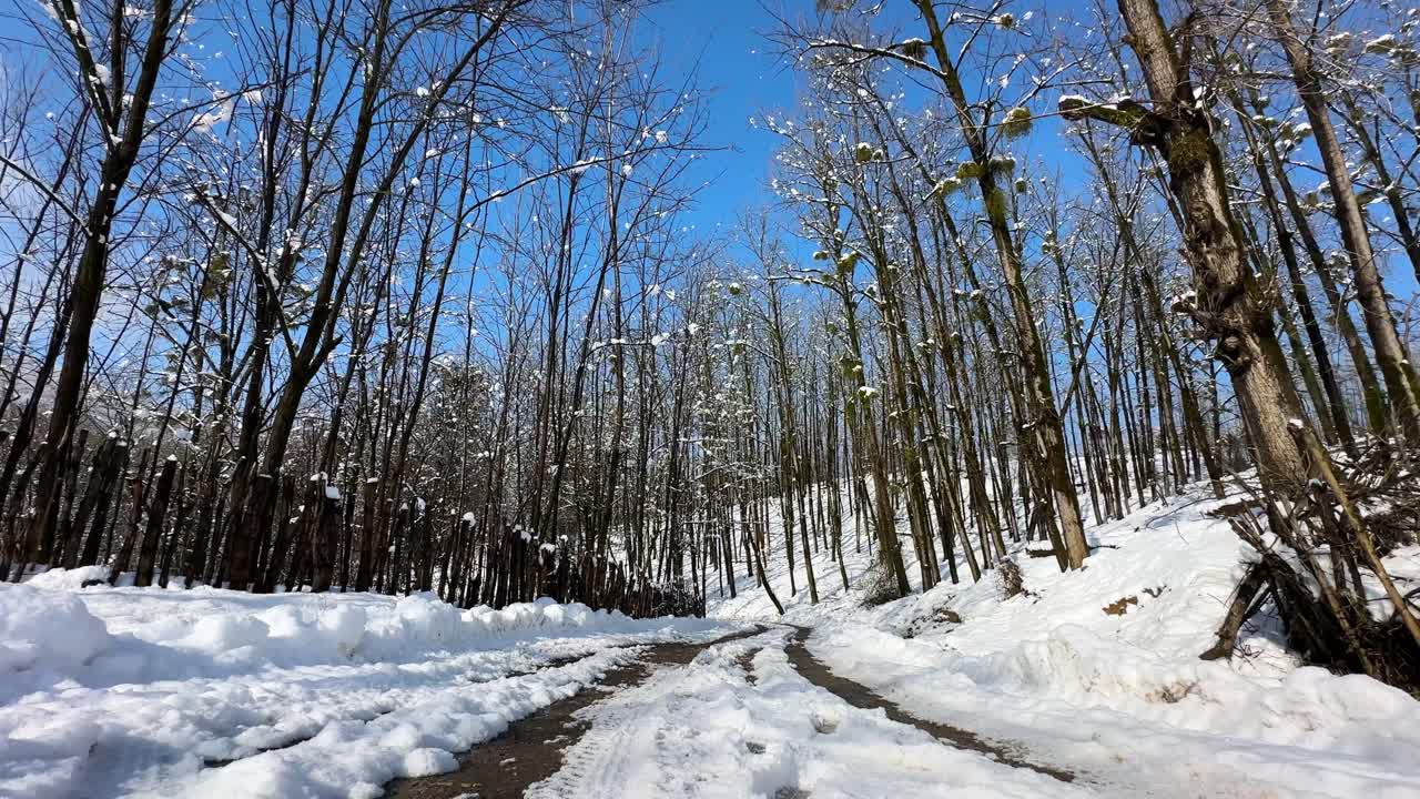 winter season rural village countryside hyrcanian forest landscape lookout meadow nature protected territory background botany branch in bush cold frosted natural outdoor park white scenic wonderful