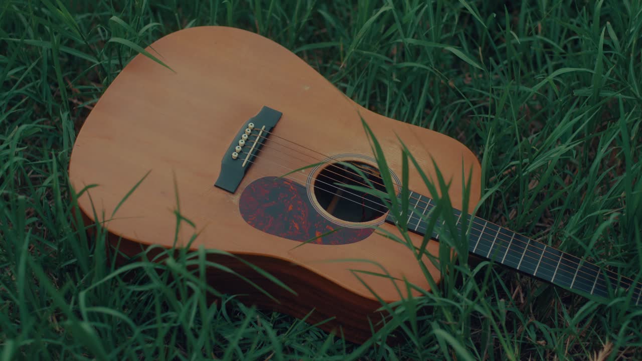 Acoustic guitar in the grass