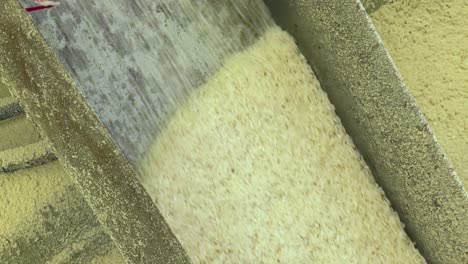 un primer plano extremo del arroz recién molido está saliendo de la máquina de moler arroz