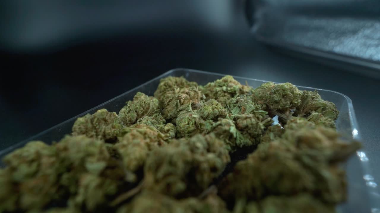 A close up detailed crane movement forward shot of a cannabis plant, marijuana flower in a clear plate, hybrid strains, Indica and sativa, 120 fps slow motion Full HD, cinematic studio lighting