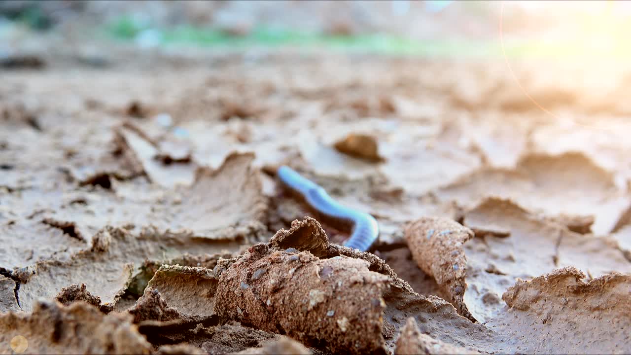 천발이 지상으로 올라가는 모습, 해가 지는 모습 (4k 해상도)