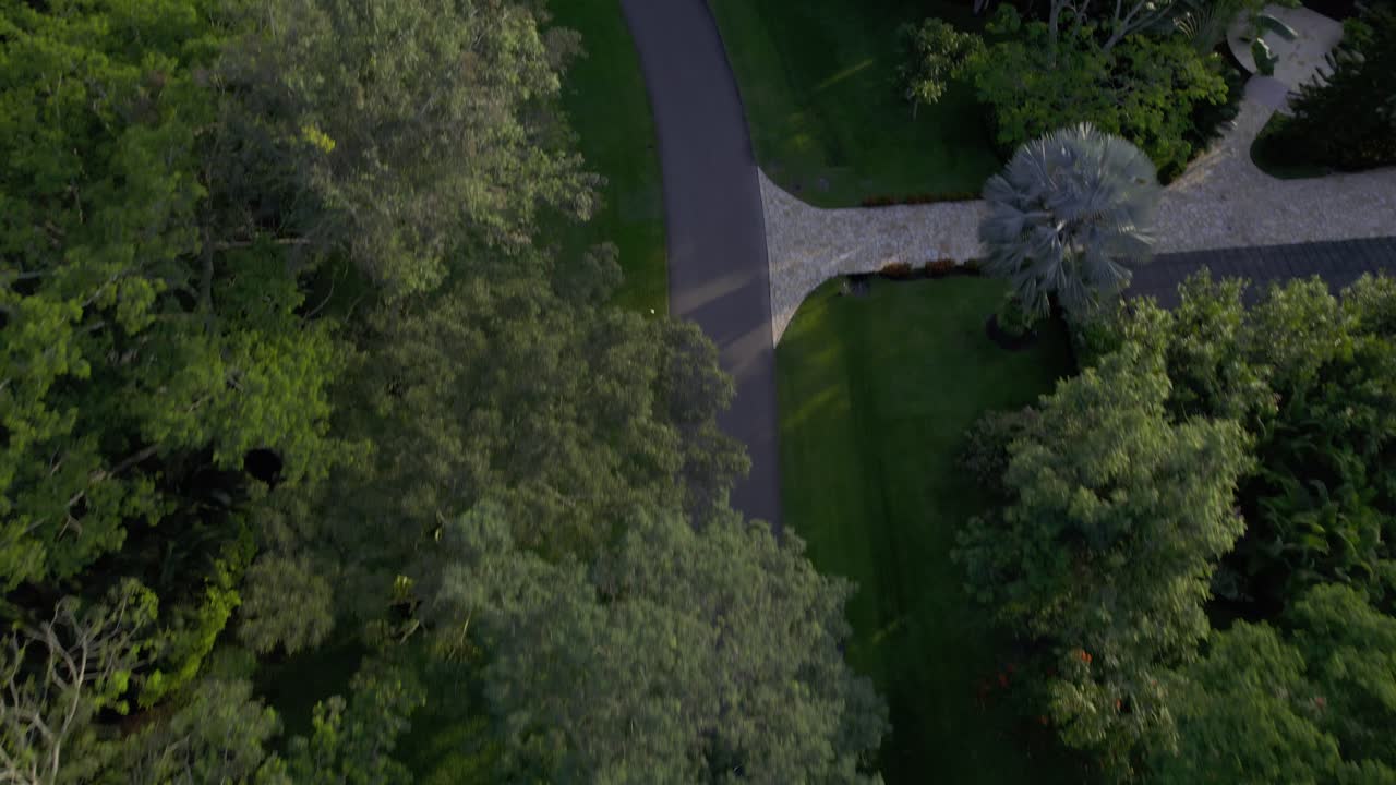 Carro en medio de la naturaleza revelando un paisaje de arboles.