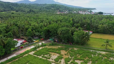 Paddy-Fields-On-Rural-Landscape-With-Lush-Coconut-Trees-In-The-Islands-Of-Barangay-San-Isidro,-Saint-Bernard,-Southern-Leyte-in-the-Philippines---Aerial-Drone-Shot