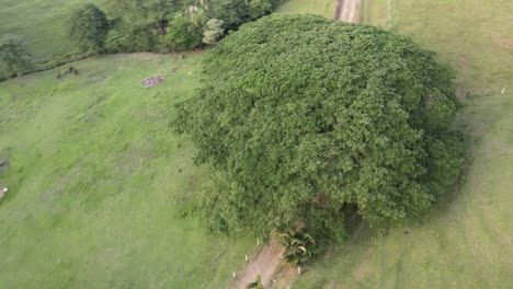 hermosos paisajes de colombia a