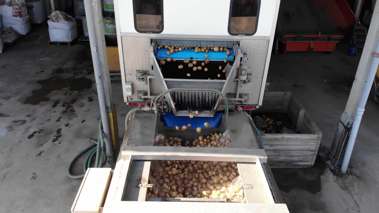 Potato grader sorting potatoes ready for loading and transport