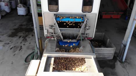 potato grader sorting potatoes ready for loading and transport