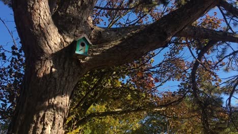 tiny birdhouse on tree in autumn