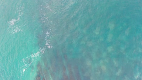 calm crystal clear ocean water with visible bottom