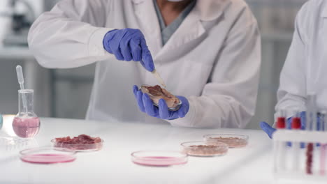 scientists examining meat samples in a laboratory setting