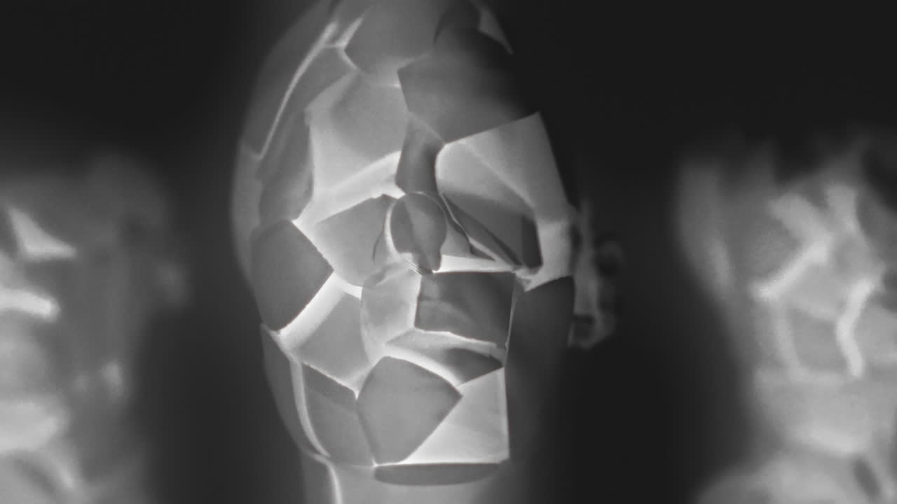 Broken mannequin head shells in xray