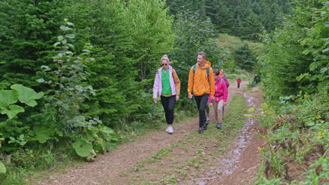 group hiking in the forest