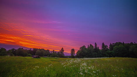 Un-Colorido-Atardecer-Naranja-Y-Azul-Al-Atardecer-Sobre-Un-Campo-De-Flores-Silvestres-Y-Un-Bosque---Lapso-De-Tiempo