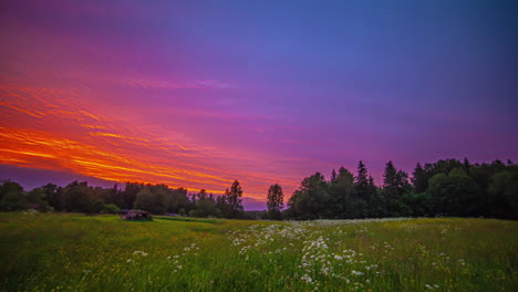 un colorido atardecer naranja y azul al atardecer sobre un campo de flores silvestres y un bosque - lapso de tiempo