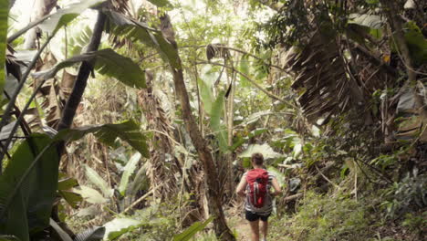 mujer caminando en la jungla