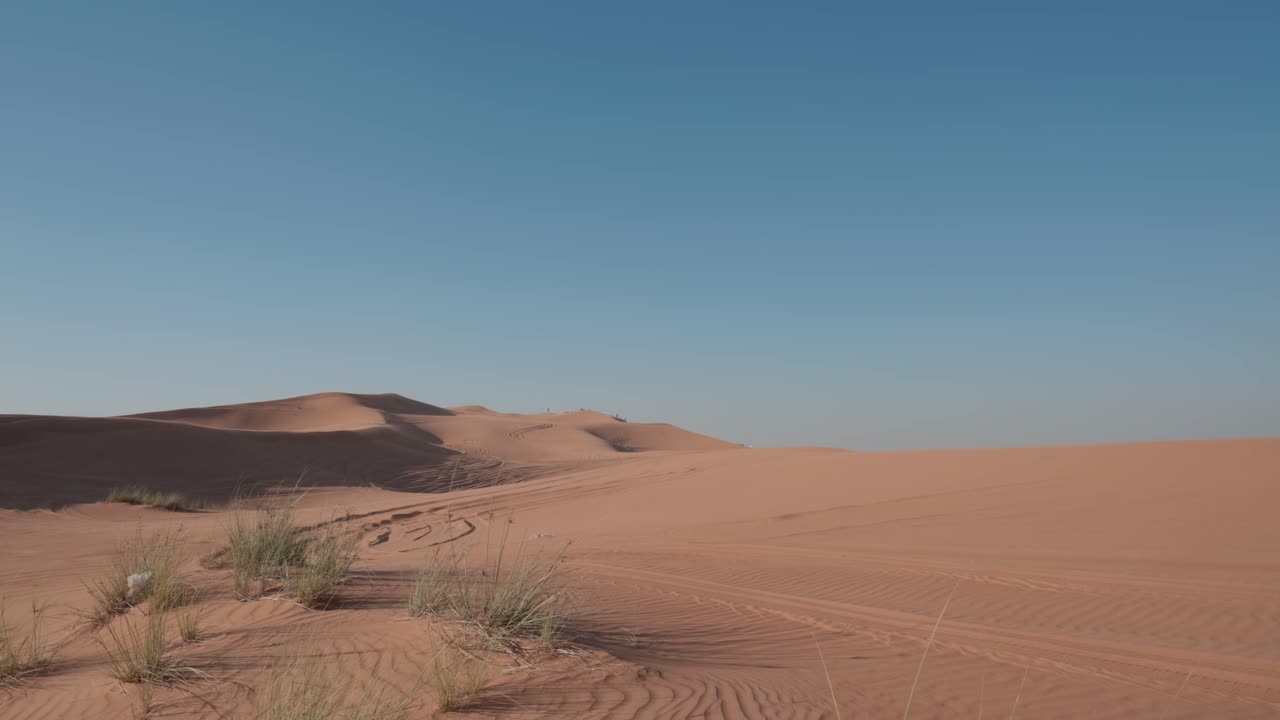 Vista statica dal basso di dune di sabbia con ciuffi d'erba che spuntano, che crescono in un ambiente desertico ostile.