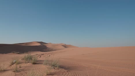 Vista-Estática-De-Dunas-De-Arena-Con-Mechones-De-Hierba-Que-Sobresalen-Y-Crecen-En-Un-Duro-Entorno-Desértico