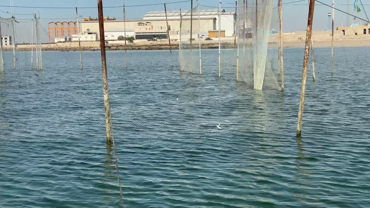 la pesca delle onde del mare è un'abilità di caccia, un pesce vivo, un pescatore, un concetto tradizionale, una spiaggia costiera, un'avventura marina, un'esperienza di pescatore, una vecchia abilità di pesca, la cultura araba in iran, qatar, emirati arabi uniti.