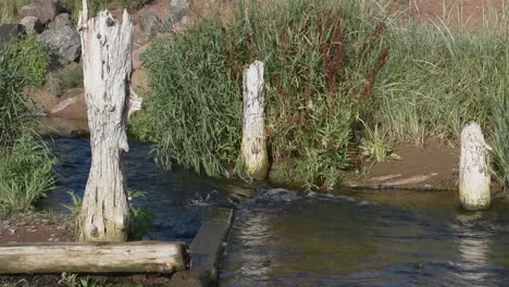 PEI-Prince-Edward-Island-North-Rustico-Beach-with-Small-Flowing-River