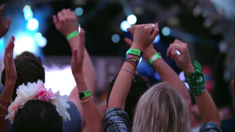 back view of the audience of a gig at a music festival