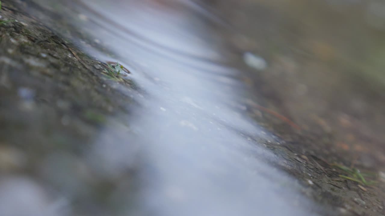 gotas de lluvia poco profundas cayendo en un estanque primer plano 4k