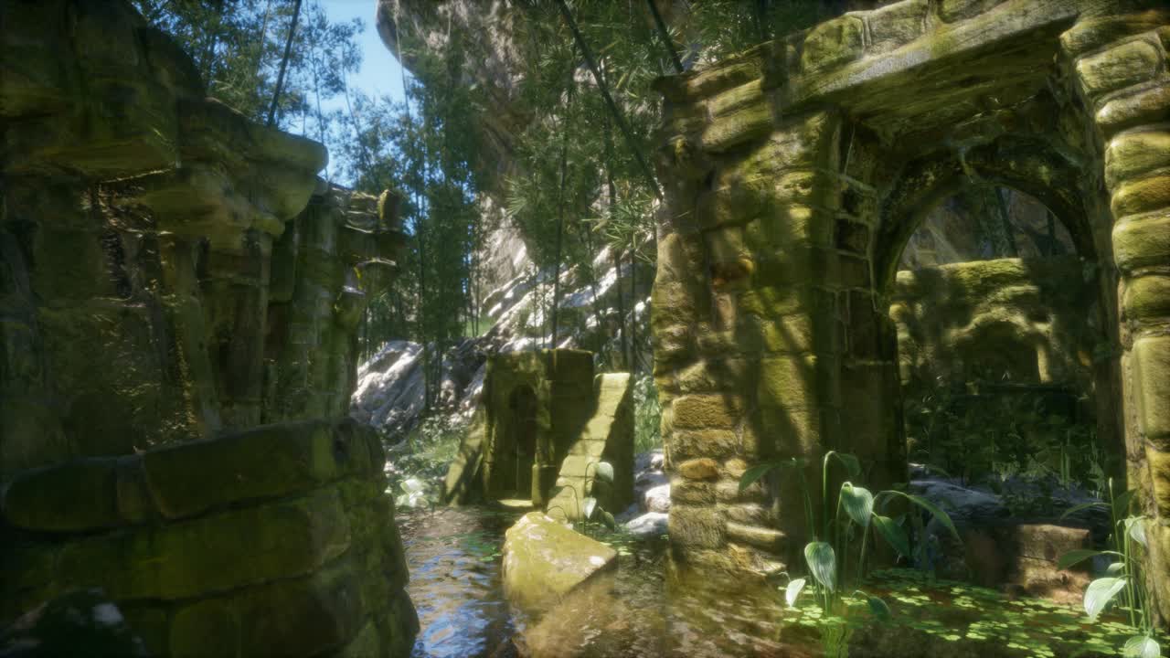 숲 속 의 돌 폐허, 버려진 고대 성