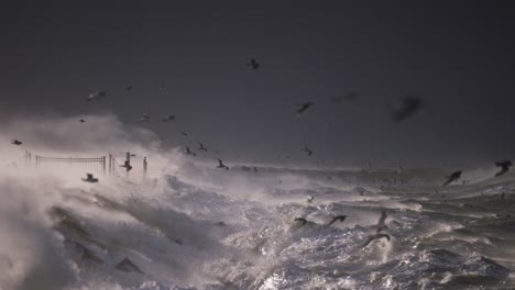 stormy ocean waves with birds