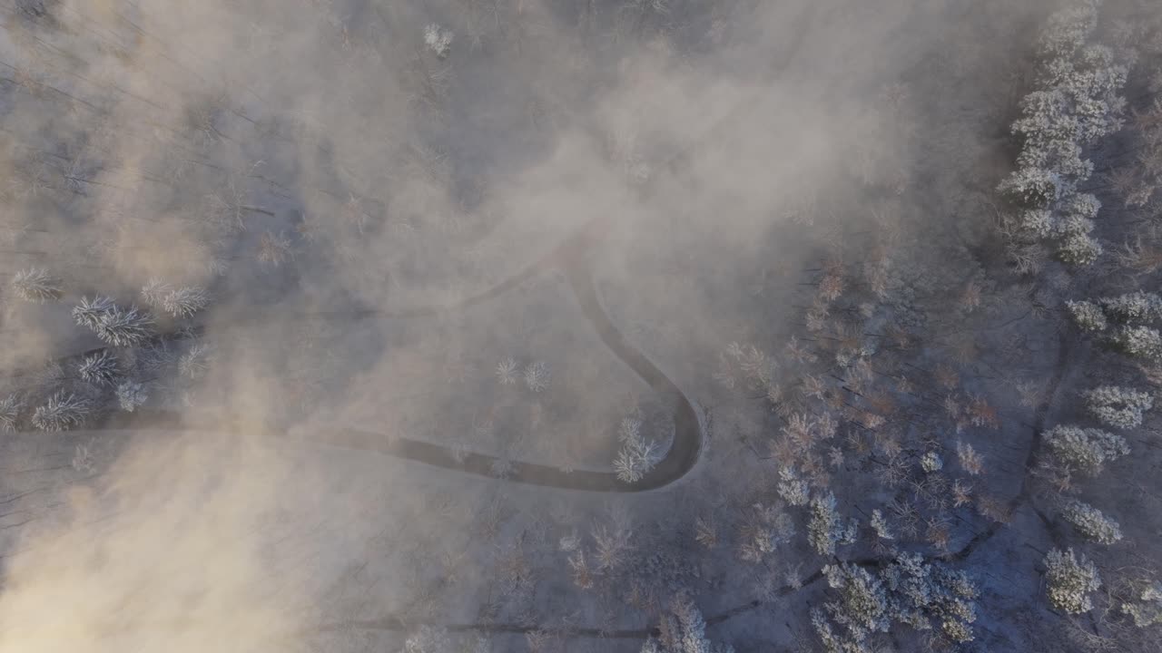 Top-down aerial view of a winding road cutting through a winter forest covered in frost and mist. Soft fog and cold morning light create a mysterious atmosphere in the snowy woodland