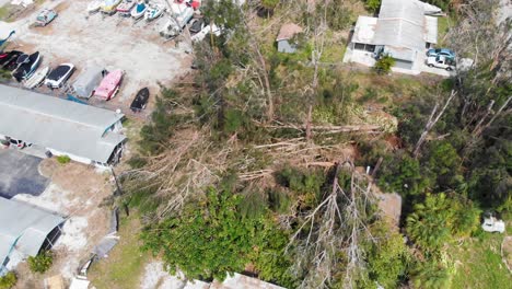 4k drone video of trees damaged by hurricane in englewood, florida - 19