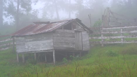 old barn in misty forest