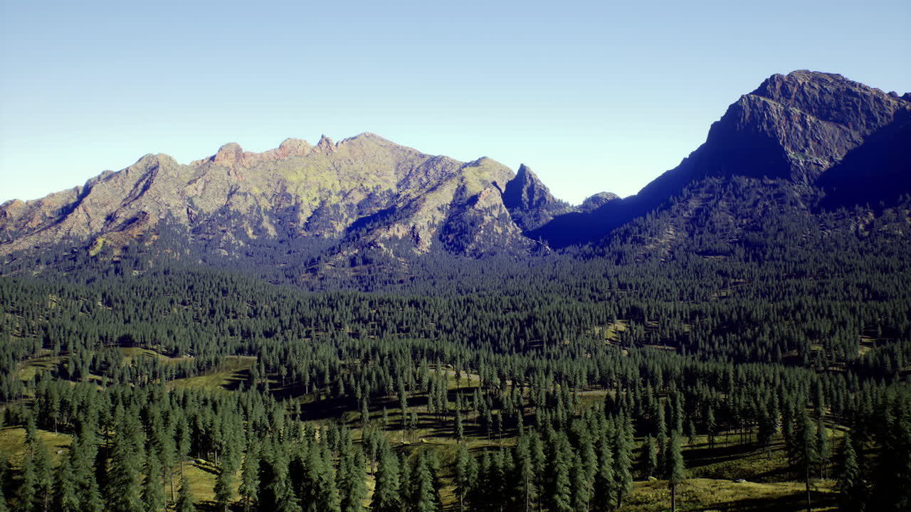 Serene mountain landscape with dense pine forest under clear sky