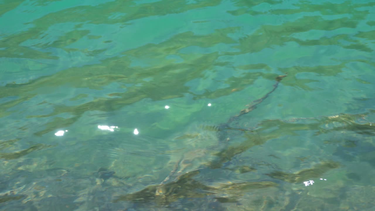 청록색 호수 표면의 근접 촬영 보기