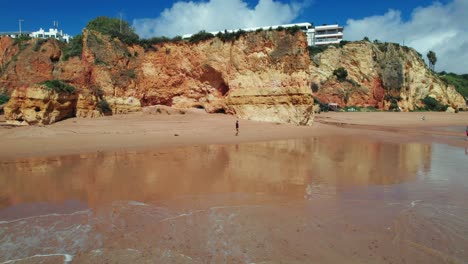 un dron aéreo de 4k a baja altitud revela a un hombre caminando por una playa de arena prístina con acantilados escarpados, condominios blancos, olas suaves y un pelícano blanco en persecución cerca de lagos, la región del algarve de portugal.
