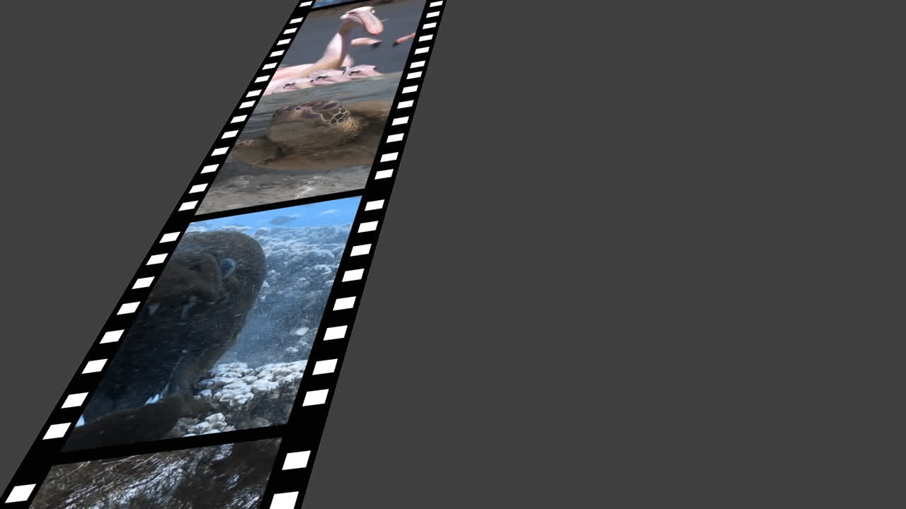 пленка с видеозаписями