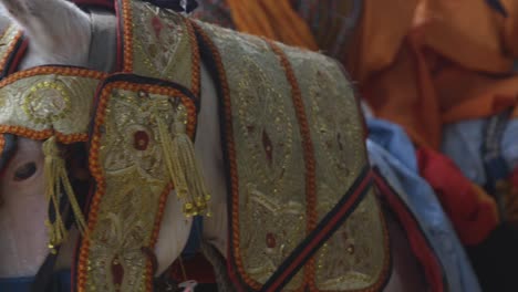 close up on eyes of decorated durbar horse with northern nigerian rider blurred in background