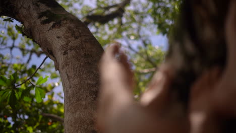 women resting their feet on the trunk of a tree in a tropical rainforest - focus pull